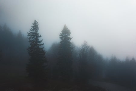 https://alphauniverseglobal.media.zestyio.com/Alpha-Universe-WIMB-Justin-Espejo-6.JPG?height=300&fit=bounds
