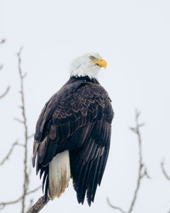 https://alphauniverseglobal.media.zestyio.com/Alpha-Universe-WIMB-Kali-Wexler-3.JPG?height=300&fit=bounds