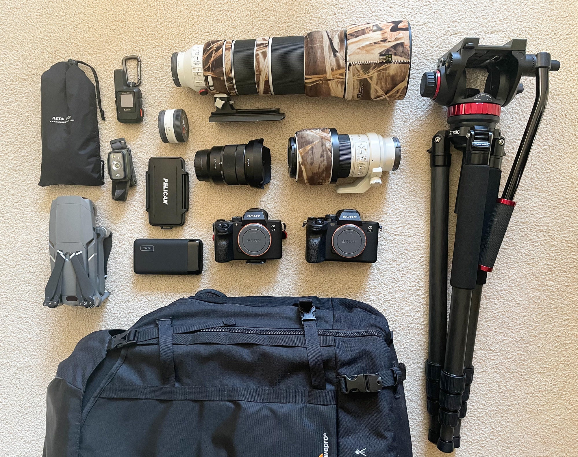 Kali Wexler's kit for wildlife photography