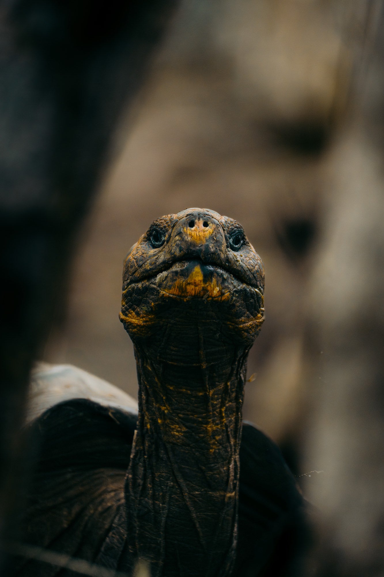 Photo by Katjana Cabenda. Sony Alpha 7R V. Sony 100-400mm f/4.5-5.6 G Master.