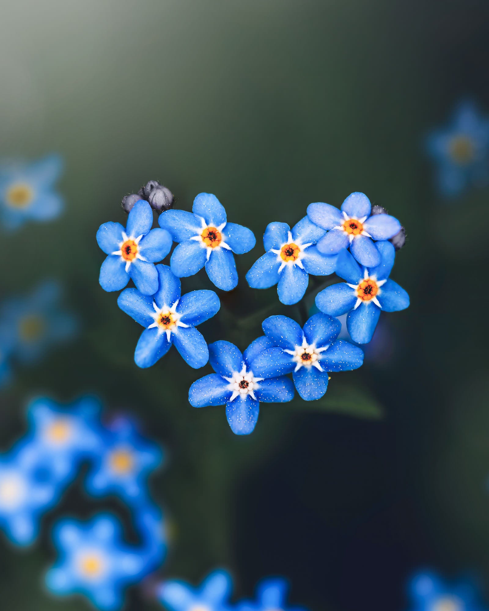 Photo by Kristīne Zāle. Sony Alpha 7 IV. Sony 90mm f/2.8 Macro G. 1/400-sec., f/2.8, ISO 250