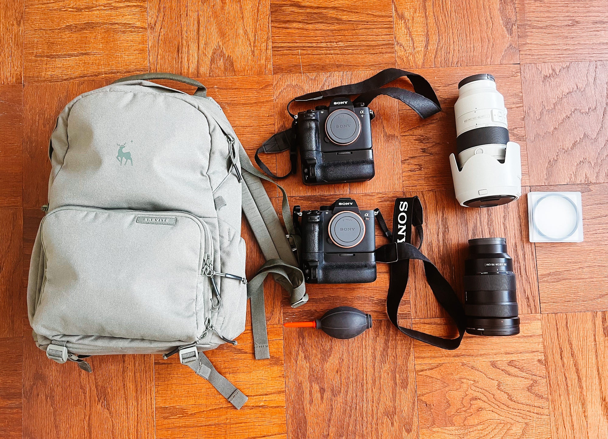 Krystina Brown's Sony Alpha kit for live music and sports action