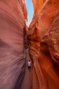 https://alphauniverseglobal.media.zestyio.com/Alpha-Universe-WIMB-Kyle-Huber-7.jpg?height=300&fit=bounds