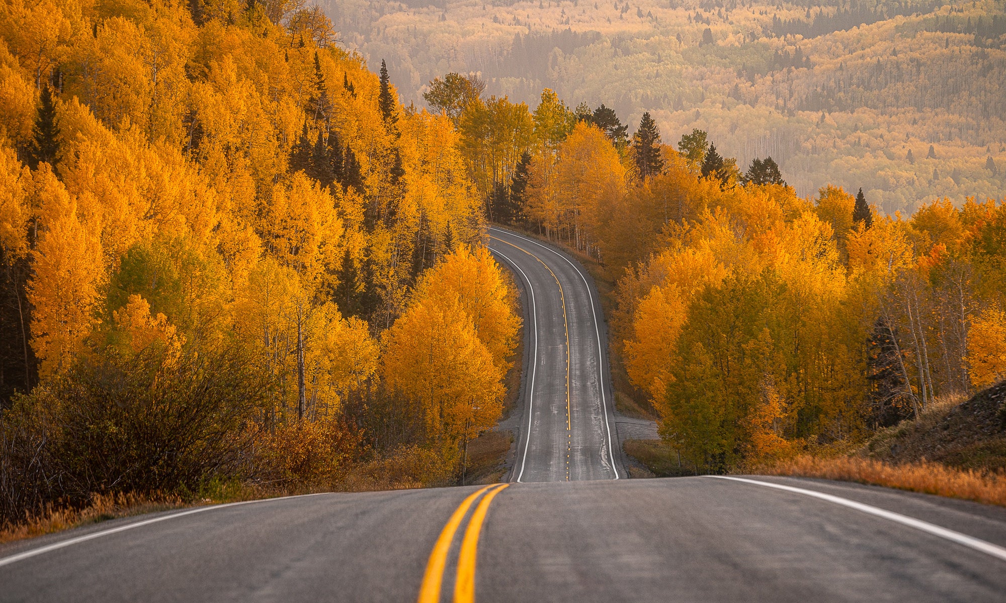 Photo by Lawrence Leyderman. Sony Alpha 7R IV. Sony 70-200mm f/2.8 G Master. 1/160-secs., f/4.5, ISO 125