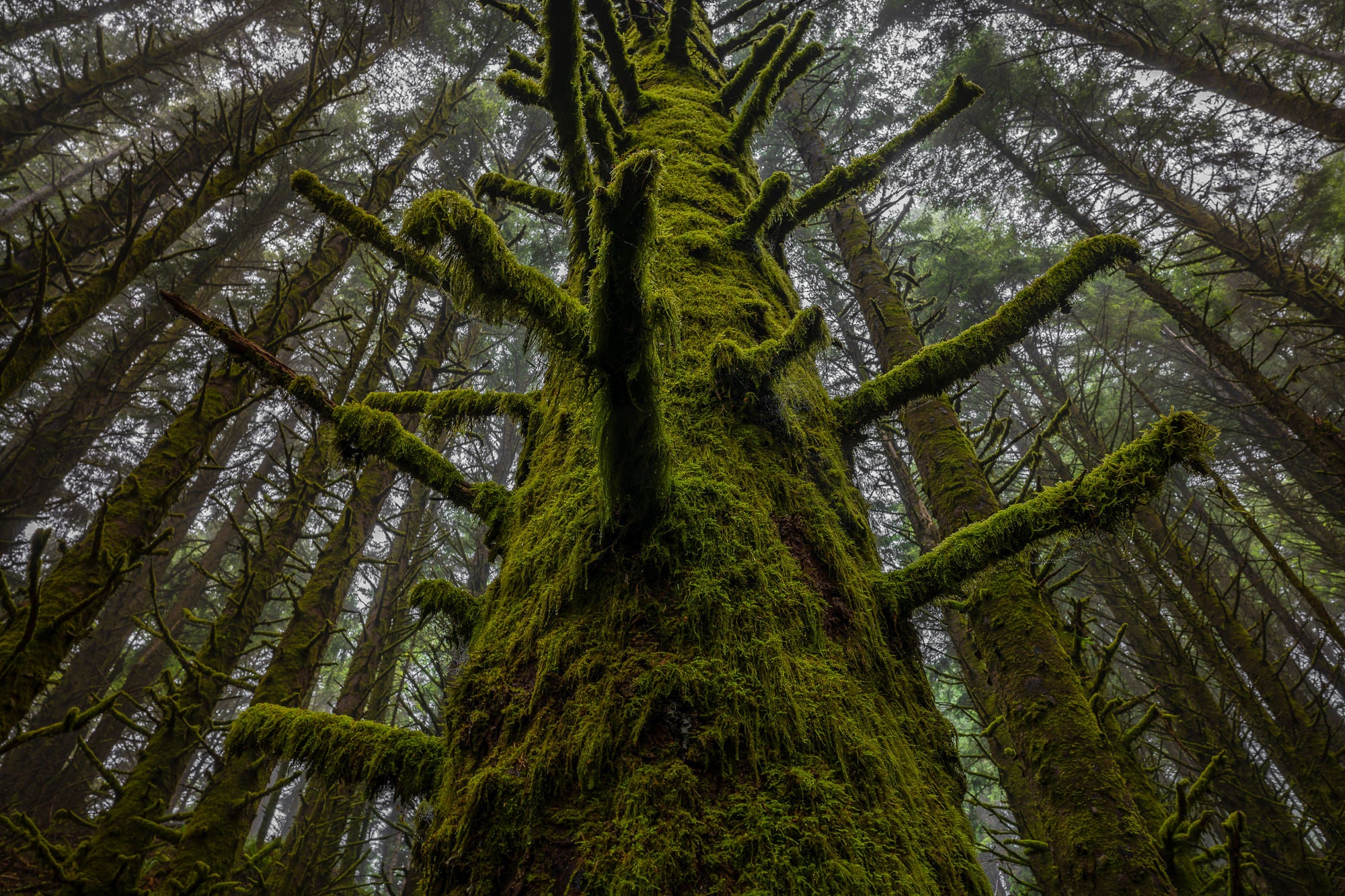 Photo by Lawrence Leyderman. Sony Alpha 7R IV. Sony 20mm f/1.8 G. 1/60-secs., f/11, ISO 100