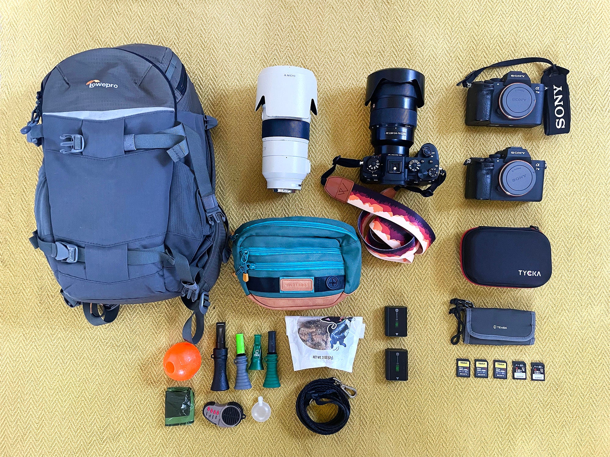 Lindsay Baca's kit for dog photography