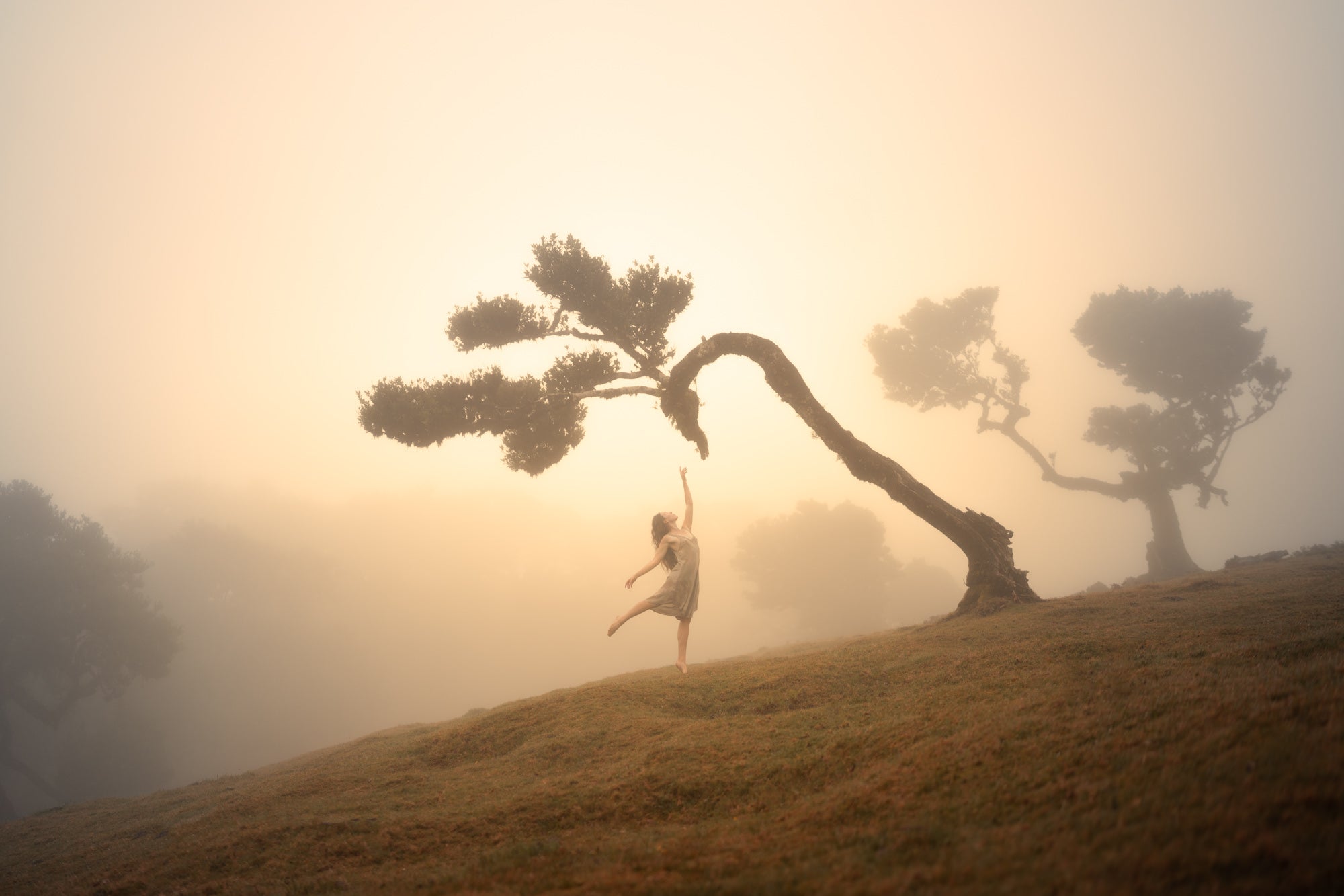 Photo by Lizzy Gadd. Sony Alpha 7R III. Sony 35mm f/1.4 G Master. 1/1000-sec., f/1.4, ISO 100