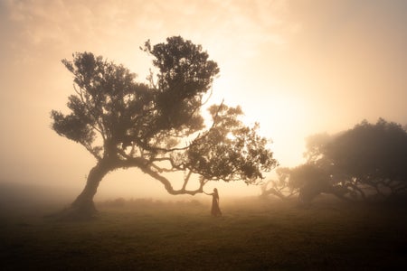 https://alphauniverseglobal.media.zestyio.com/Alpha-Universe-WIMB-Lizzy-Gadd-18.jpg?height=300&fit=bounds