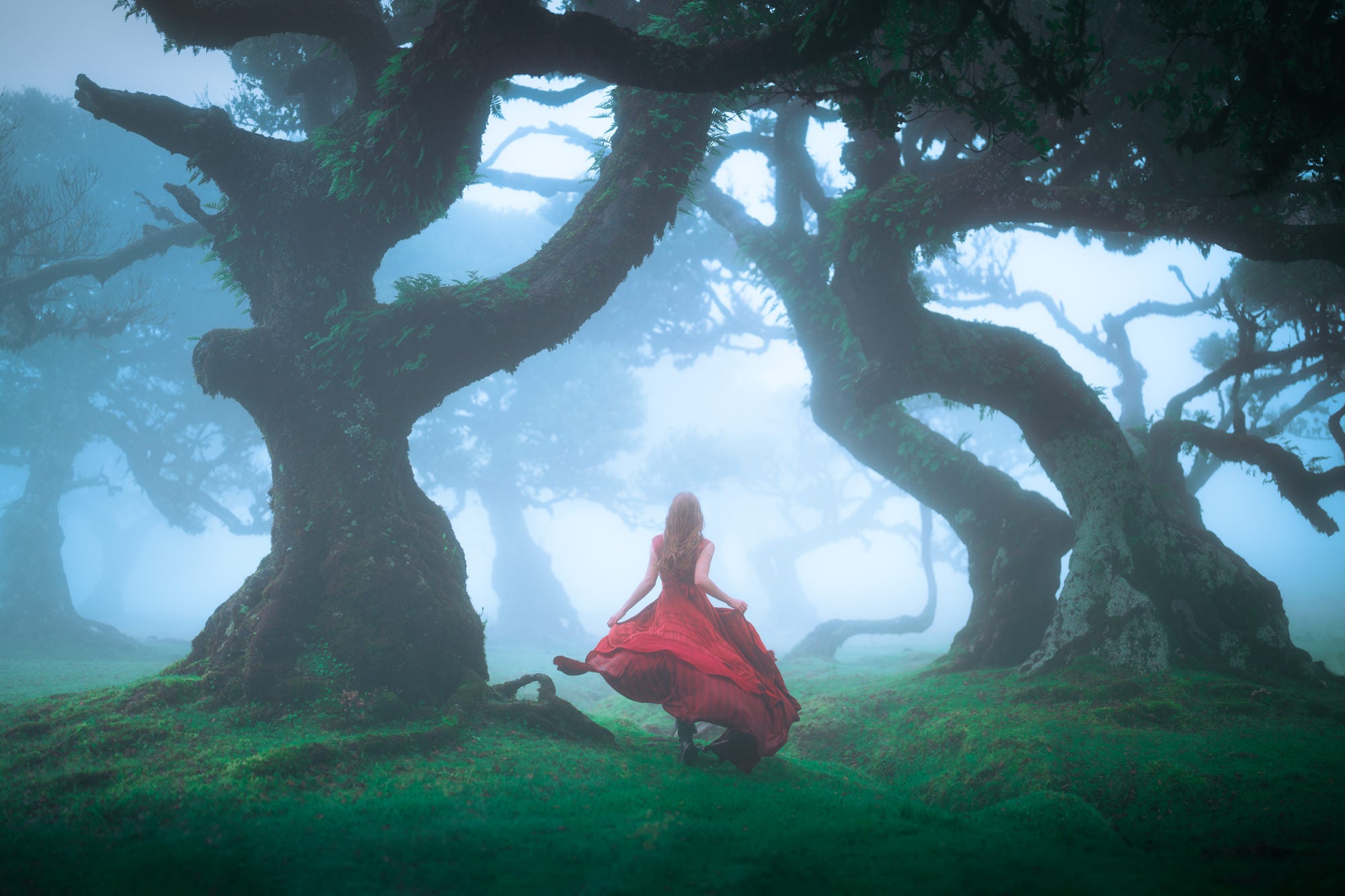 Photo by Lizzy Gadd. Sony Alpha 7R III. Sony 50mm f/1.2 G Master. 1/1000-sec., f/1.2, ISO 100