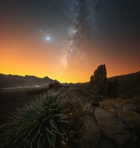 https://alphauniverseglobal.media.zestyio.com/Alpha-Universe-WIMB-Lorenzo-Ranieri-Tenti-FLAMES-FROM-THE-DESERT.jpg?height=300&fit=bounds