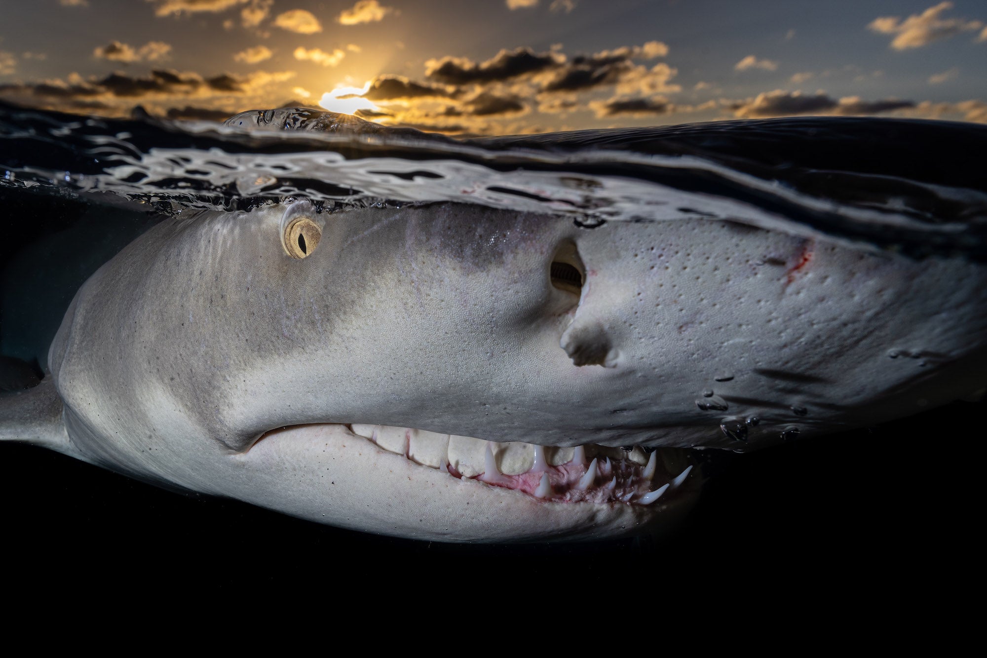 Photo by Lukas Walter. Sony Alpha 1. Sony 16-35mm f/2.8 G Master. 1/400-sec., f/14, ISO 250