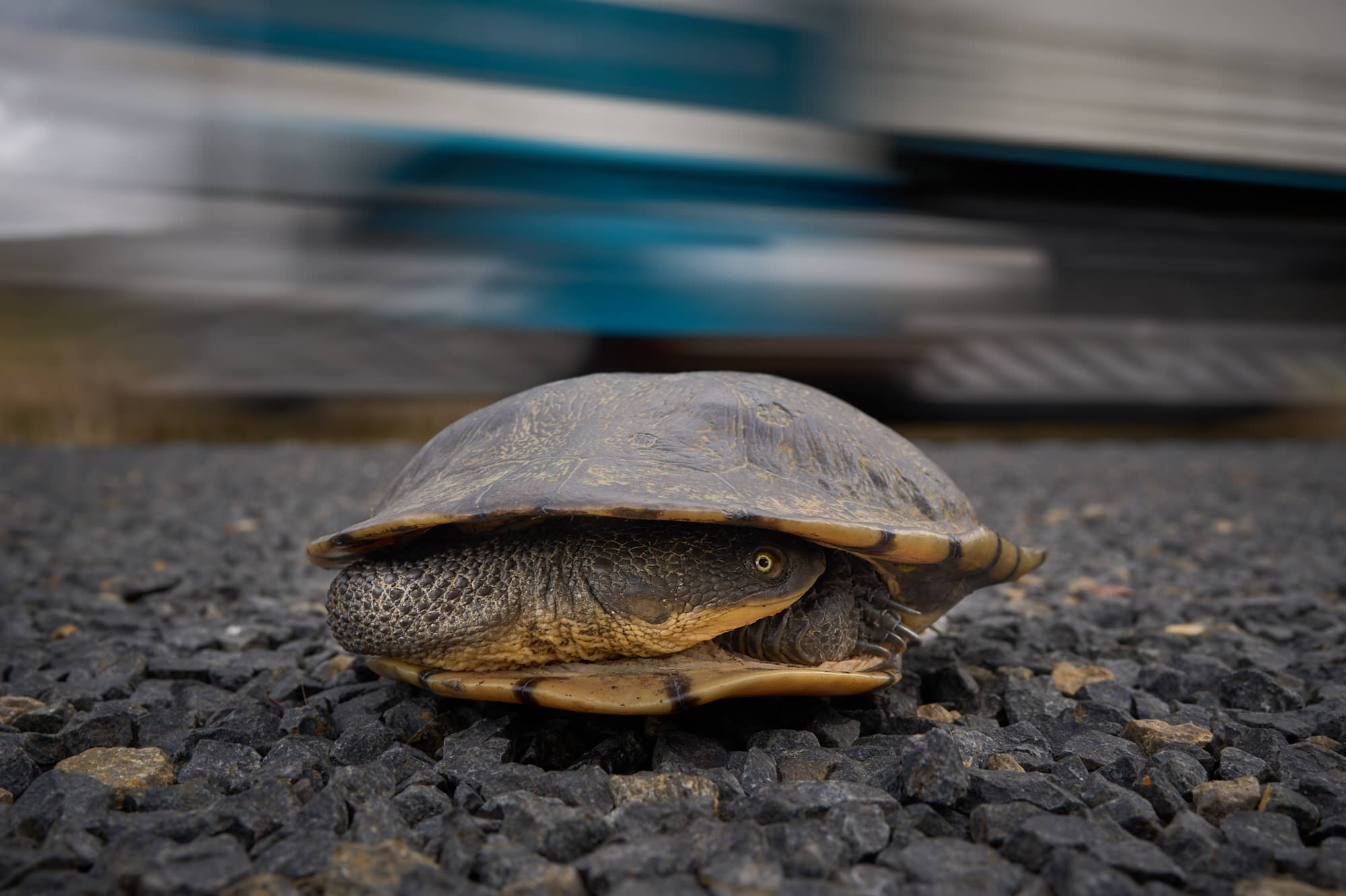 Photo by Michael Eastwell. Sony Alpha 1. Sony 35mm f/1.4 G Master. 1/20-sec., f/11, ISO 50