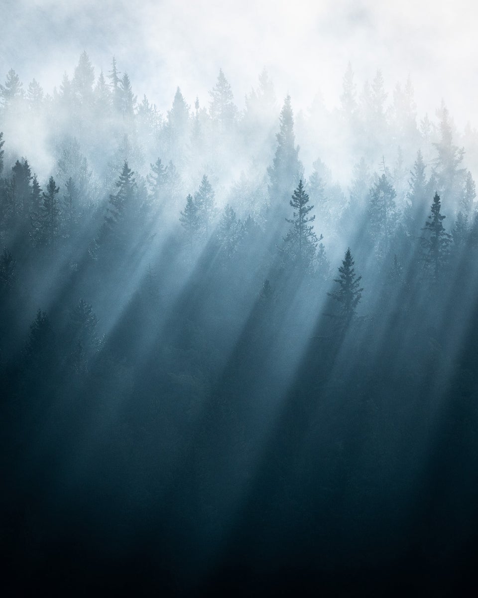https://alphauniverseglobal.media.zestyio.com/Alpha-Universe-WIMB-Michael-Hollender-BanffBeamsLayers.jpg?height=1200&fit=bounds