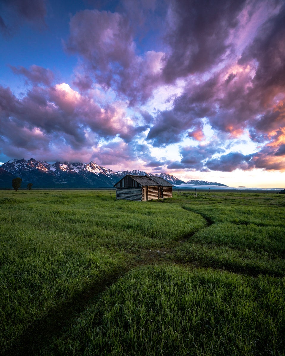 https://alphauniverseglobal.media.zestyio.com/Alpha-Universe-WIMB-Michael-Hollender-MormonRow.JPG?height=1200&fit=bounds