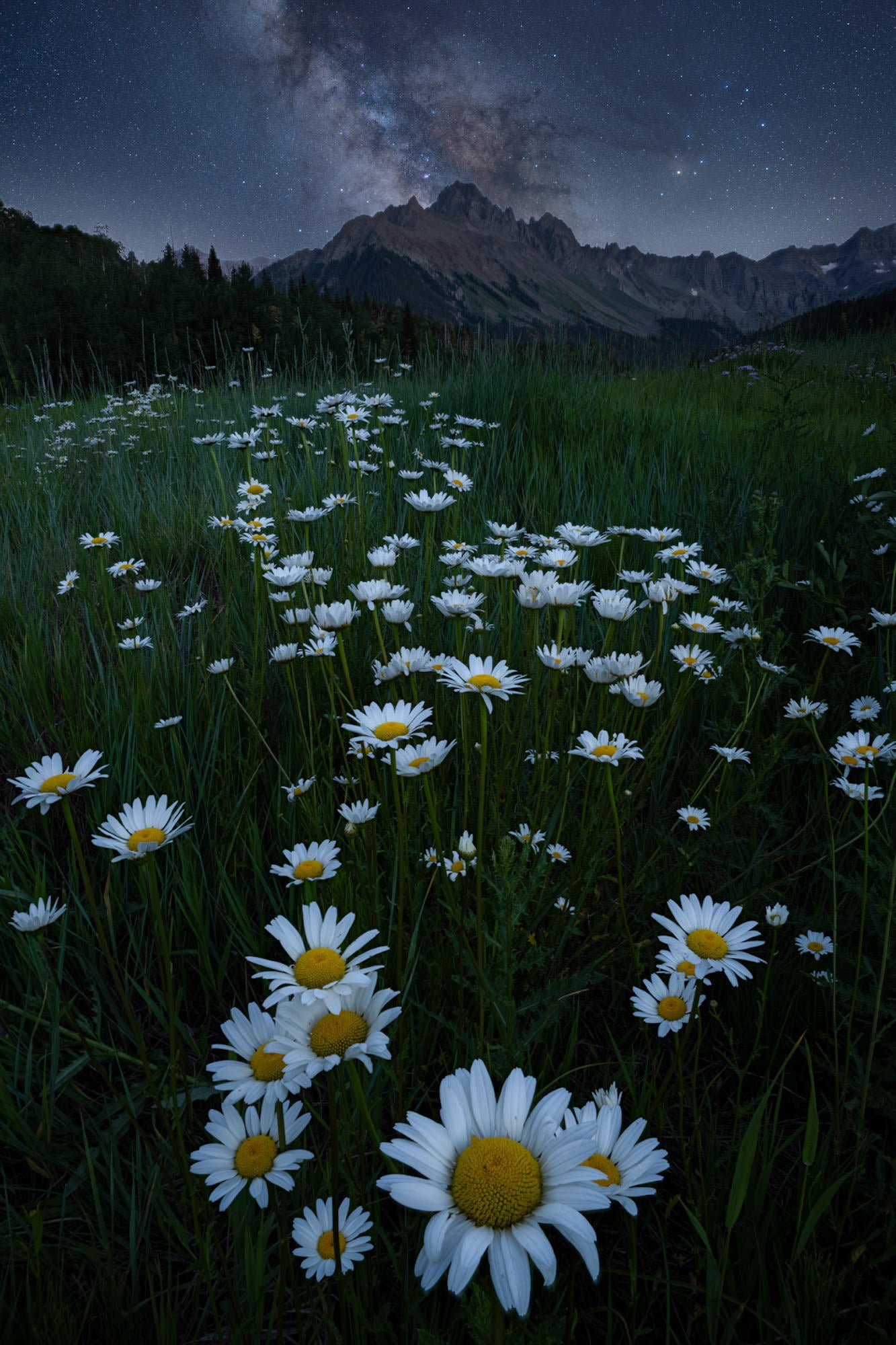 Photo by Michael Simmons. Sony Alpha 7R V. Sony 12-24mm f/2.8 G Master. Foreground: 1/8-sec., f/11. ISO 400. Sky: 330-sec., f/3.5, ISO 400