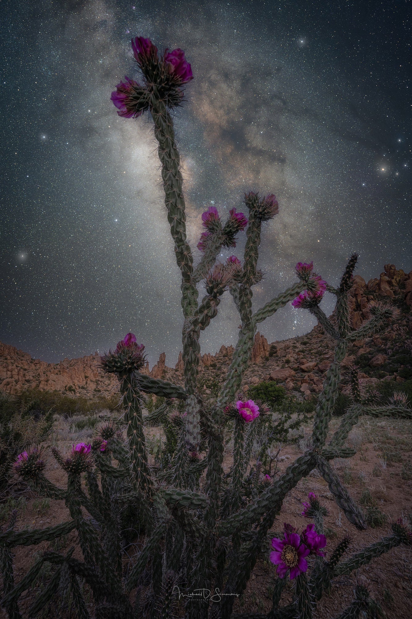 Photo by Michael Simmons. Sony Alpha 7R V. Sony 12-24mm f/2.8 G Master. Foreground: 1/6-sec., f/8, ISO 400. Sky: 360-sec., f/3.2, ISO 400