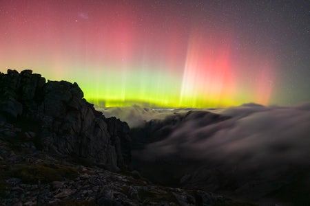 https://alphauniverseglobal.media.zestyio.com/Alpha-Universe-WIMB-Oliver-Whone-11.jpg?height=300&fit=bounds