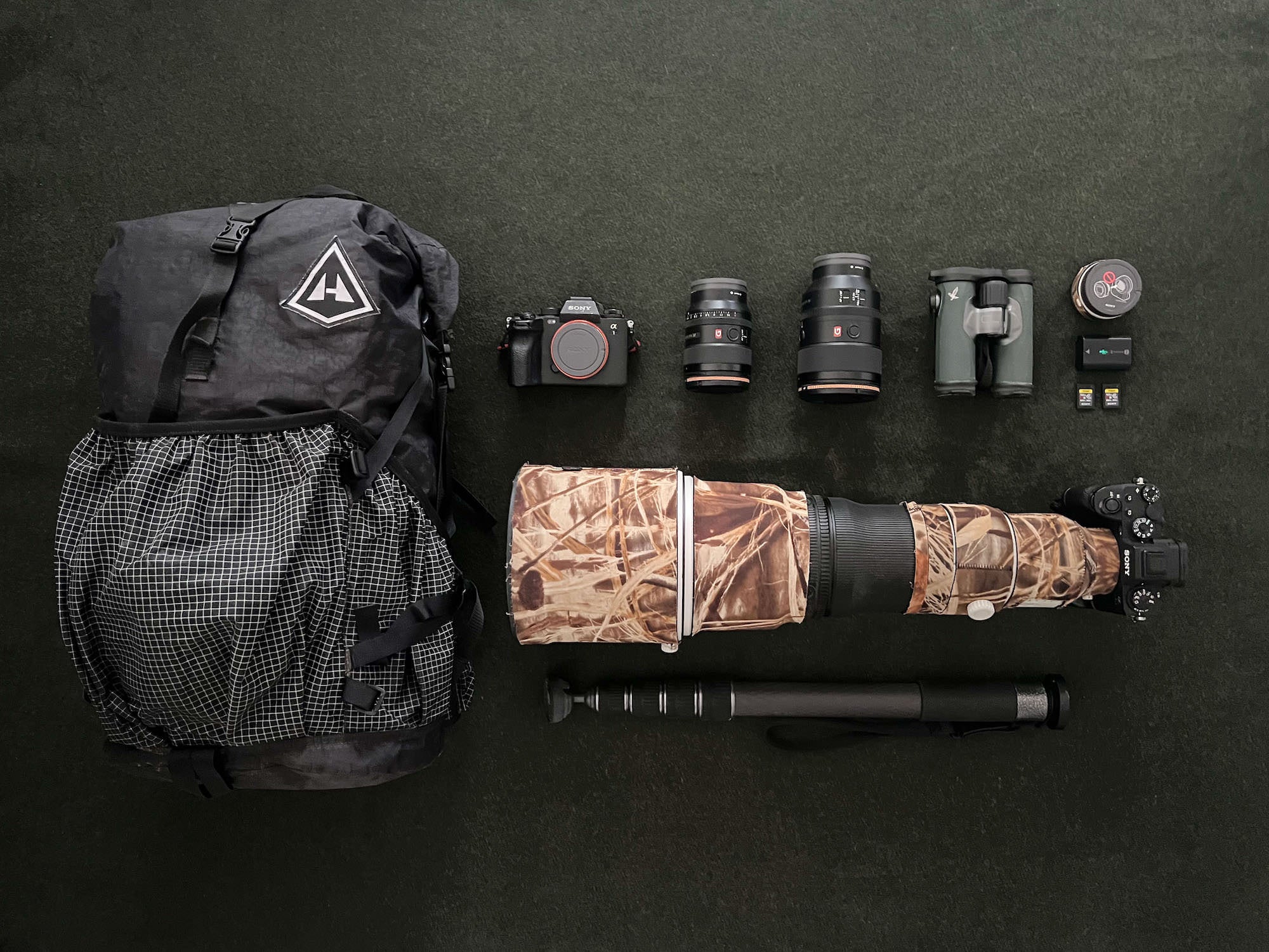 Phillip Hall's gear for wildlife photography