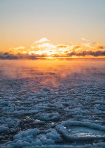 https://alphauniverseglobal.media.zestyio.com/Alpha-Universe-WIMB-Reece-Hickman-2470_seasmoke_3.JPG?height=300&fit=bounds
