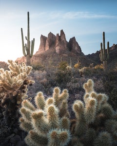 https://alphauniverseglobal.media.zestyio.com/Alpha-Universe-WIMB-Ryan-Ditch-Arizona_2.jpg?height=300&fit=bounds