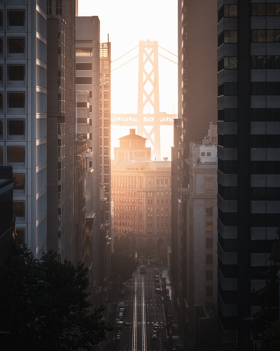 https://alphauniverseglobal.media.zestyio.com/Alpha-Universe-WIMB-Ryan-Ditch-SanFrancisco_2.jpg?height=1200&fit=bounds
