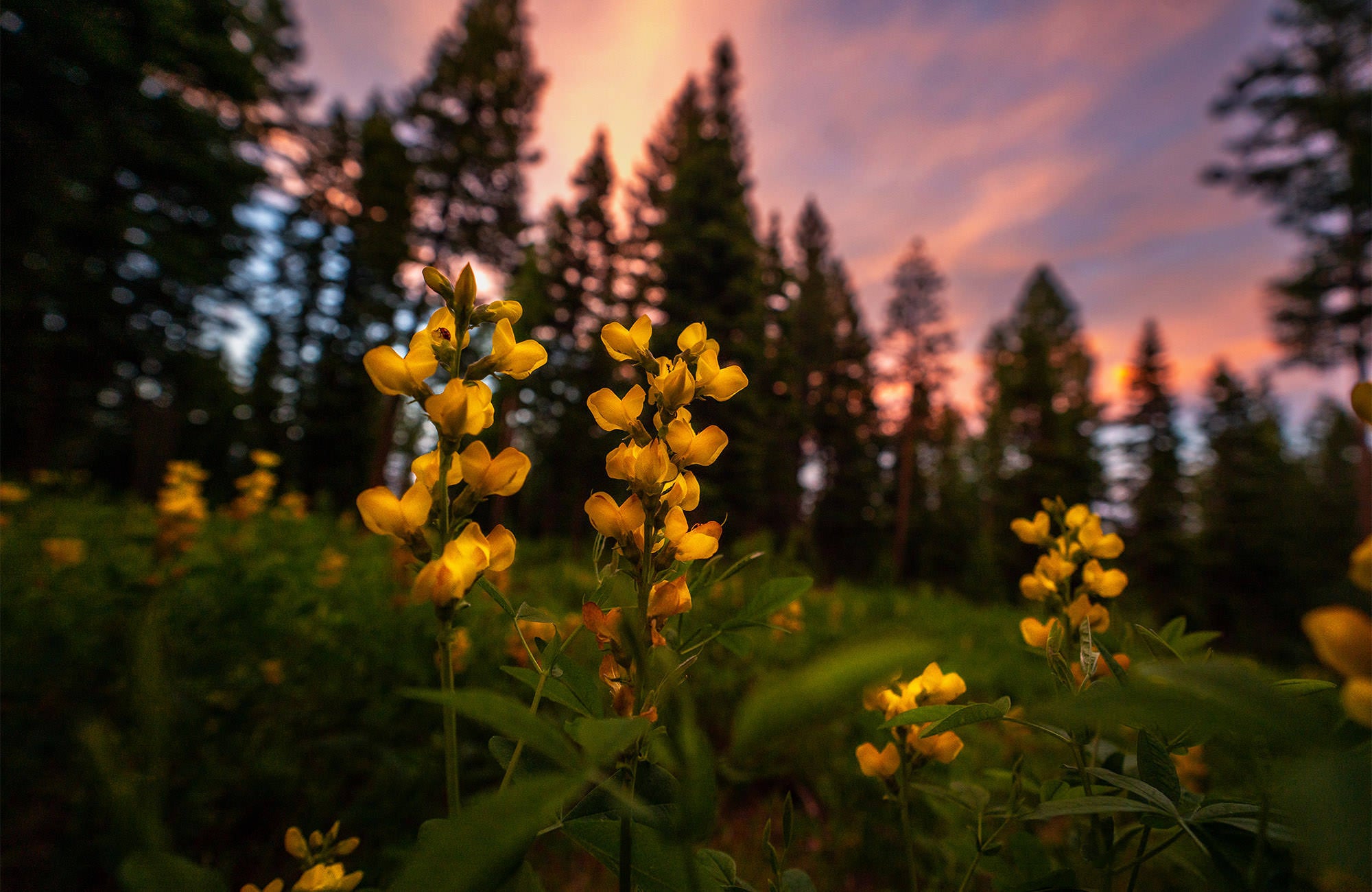 Photo by Sarah Rohrbach. Sony Alpha 7R III. Sony 16-35mm f/2.8 G Master. 1/160-sec., f/3.5, ISO 400