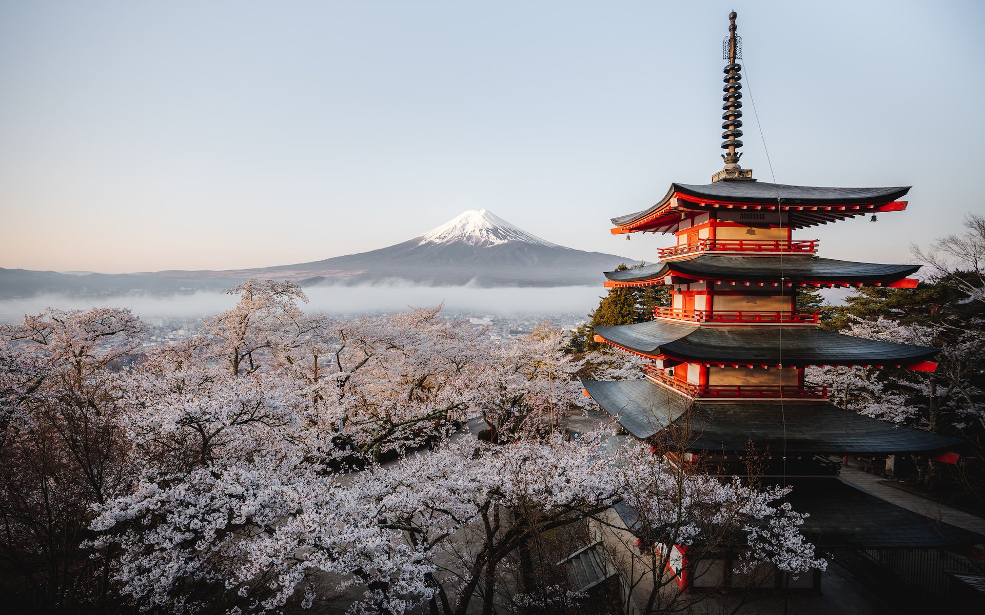https://alphauniverseglobal.media.zestyio.com/Alpha-Universe-WIMB-Scott-Howes-Chureito-Pagoda-16-35.jpg?height=1200&fit=bounds