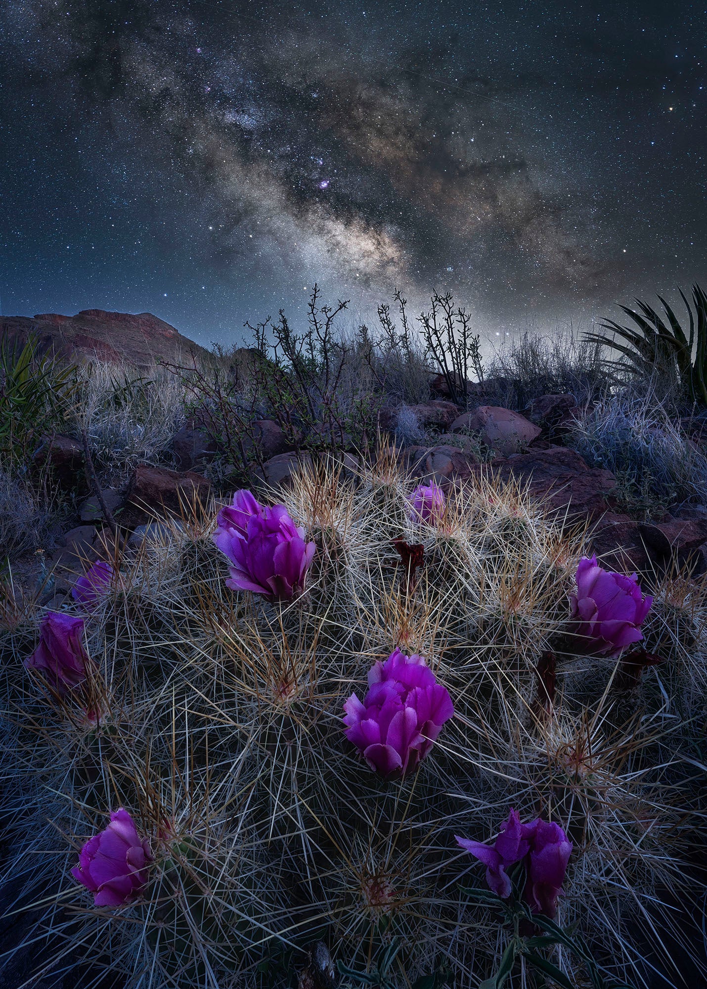 Photo by Steve Hamm. Composite: Foreground: Sony Alpha 7R III. Sony 12-24mm f/2.8 G Master. 2.5-sec, f/8, ISO 100. Sky: Tracked Sony Alpha 7R III. Sony 12-24mm f/2.8 G Master. 10-min., f/2.8, ISO 640