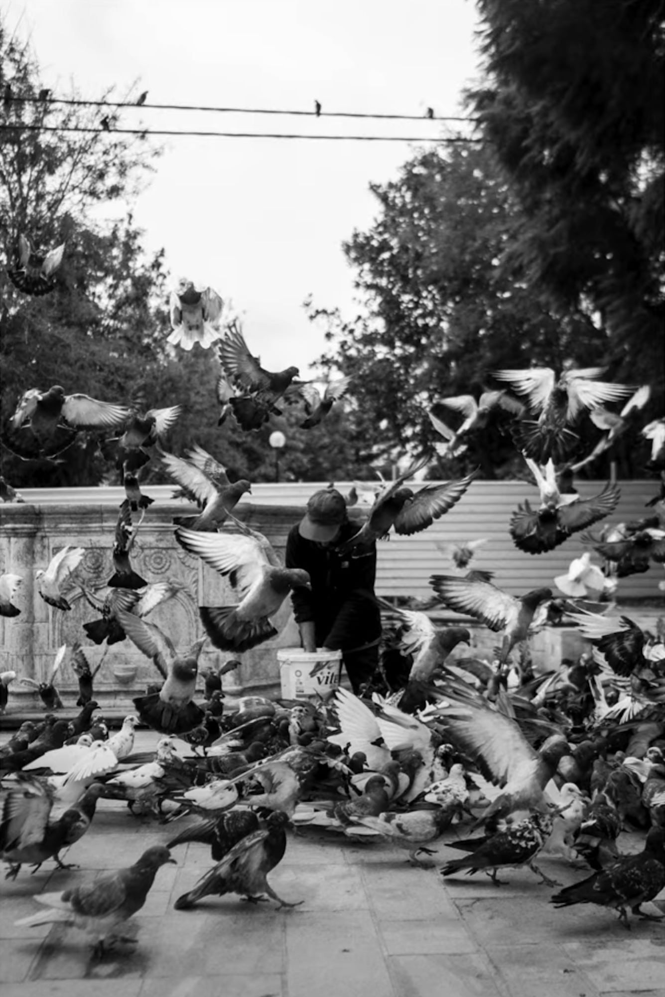 Man in city with pigeons flying around