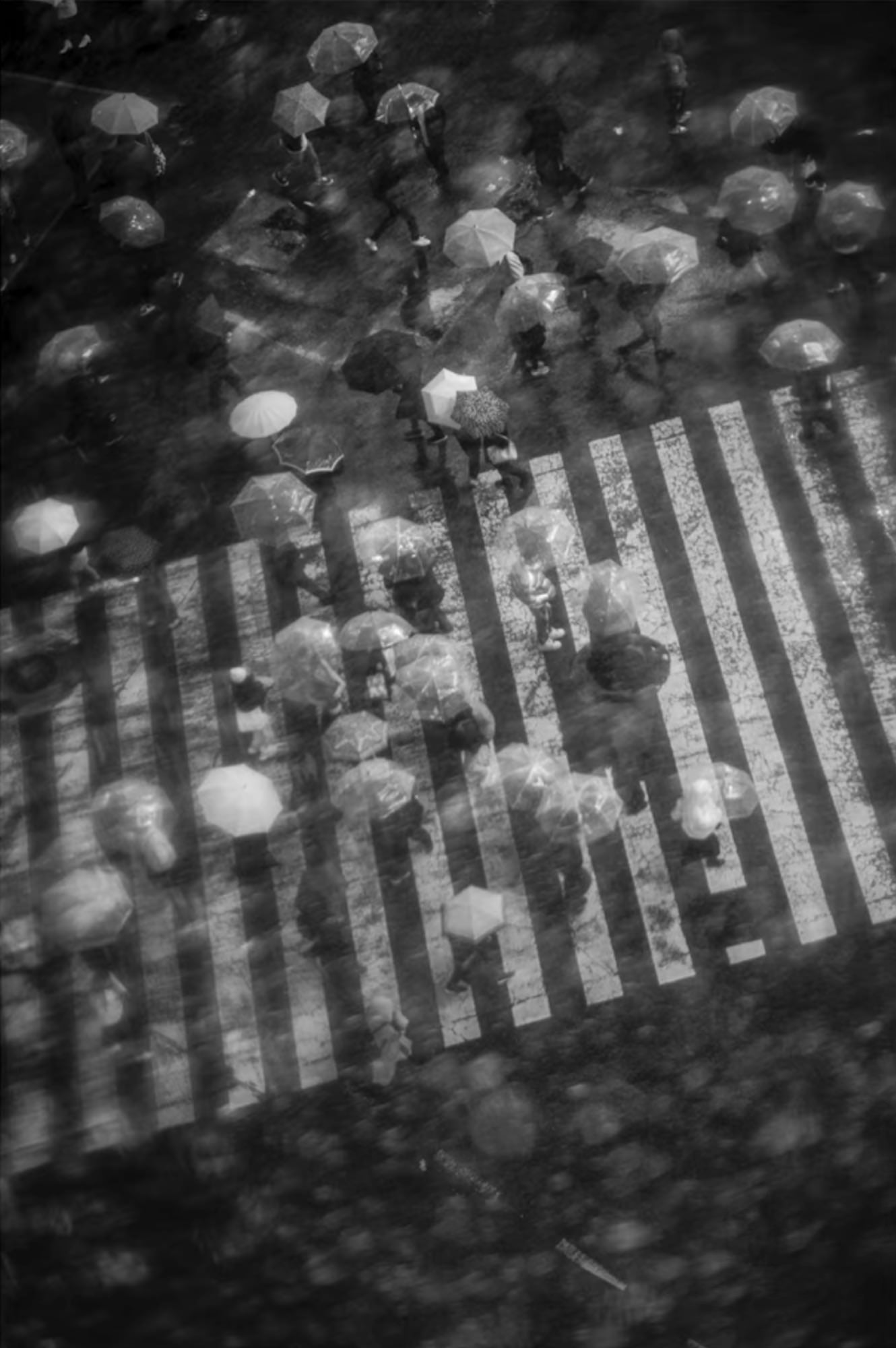 Overhead photo of people with umbrellas walking in crosswalk