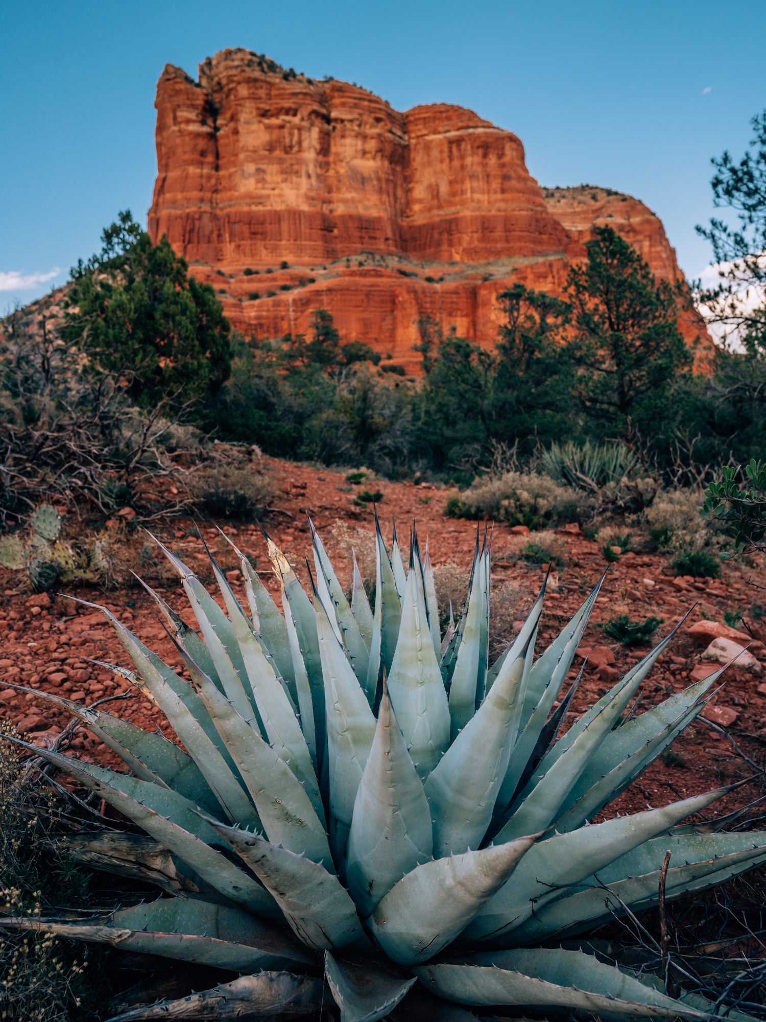 Photo by Susan Brudd. Sony Alpha 7R IV. Sony 24mm f/1.4 G Master. 1/160-sec., f/8, ISO 200