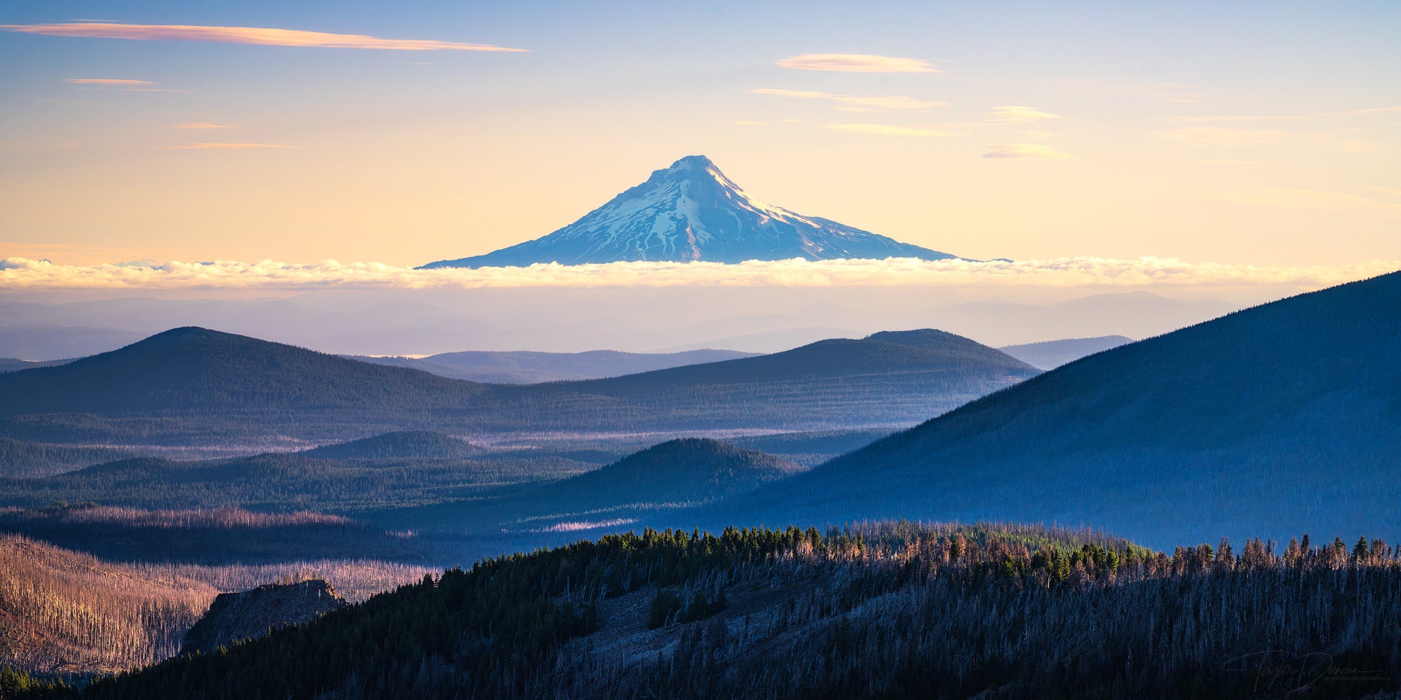 Photo by Taylor Duncan. Alpha 7R V. 1/40-sec., f/14, ISO 100 Photo by Taylor Duncan. Alpha 7R V. 1/40-sec., f/14, ISO 100