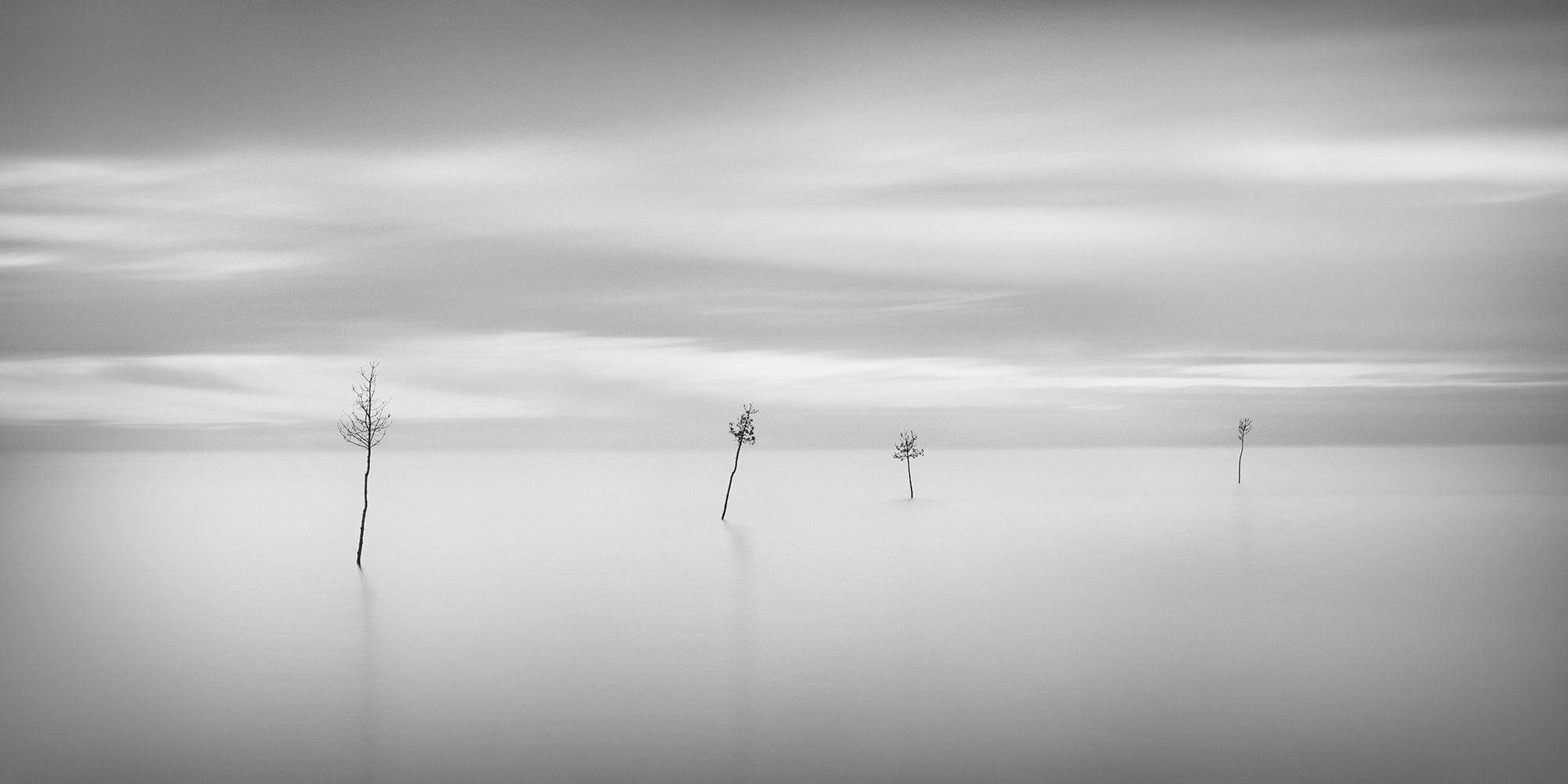 Alpha-Universe-WIMB-Thibault-Roland-1.jpg