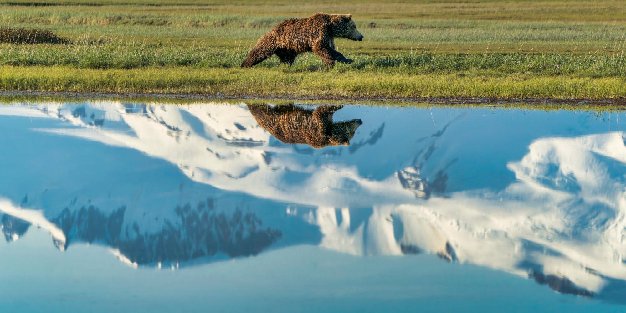 Todd Frame uses the Alpha 7R IV to photograph wildlife