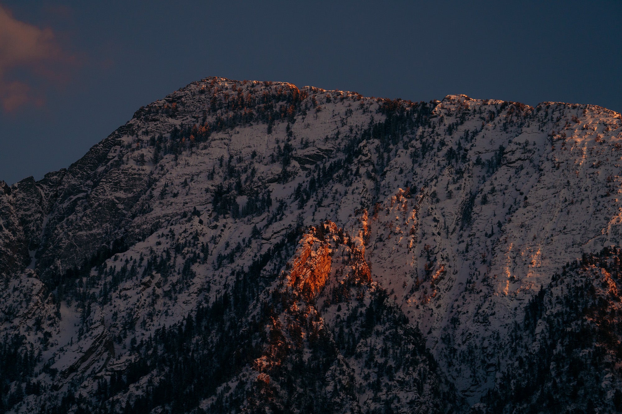 Photo by Violet Nova. Sony Alpha 7R V. Sony 70-200mm f/2.8 G Master II. 1/1000-sec., f/4, ISO 640