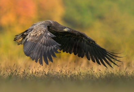 https://alphauniverseglobal.media.zestyio.com/Alpha-Universe-WIMB-WojciechSobiesiak-SonyPhoto6.jpg?height=300&fit=bounds