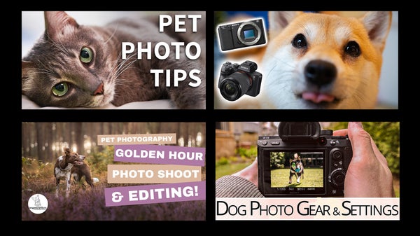 Sony pet photographers on YouTube