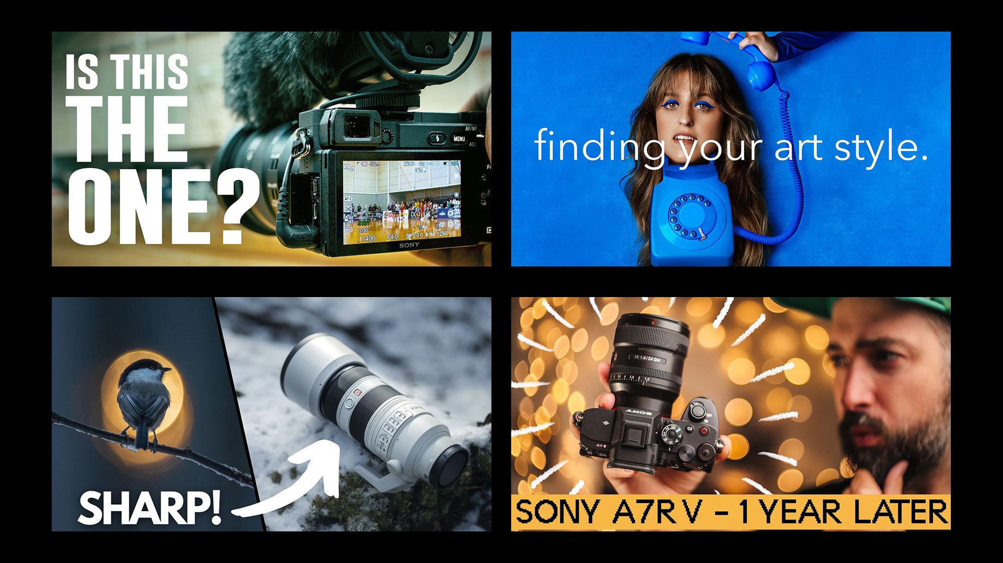 Your YouTube Guides For All Kinds Of Photography | Sony | Alpha Universe