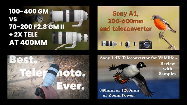 See how these photographers use Sony teleconverters