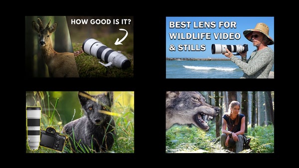 Sony wildlife shooters on YouTube