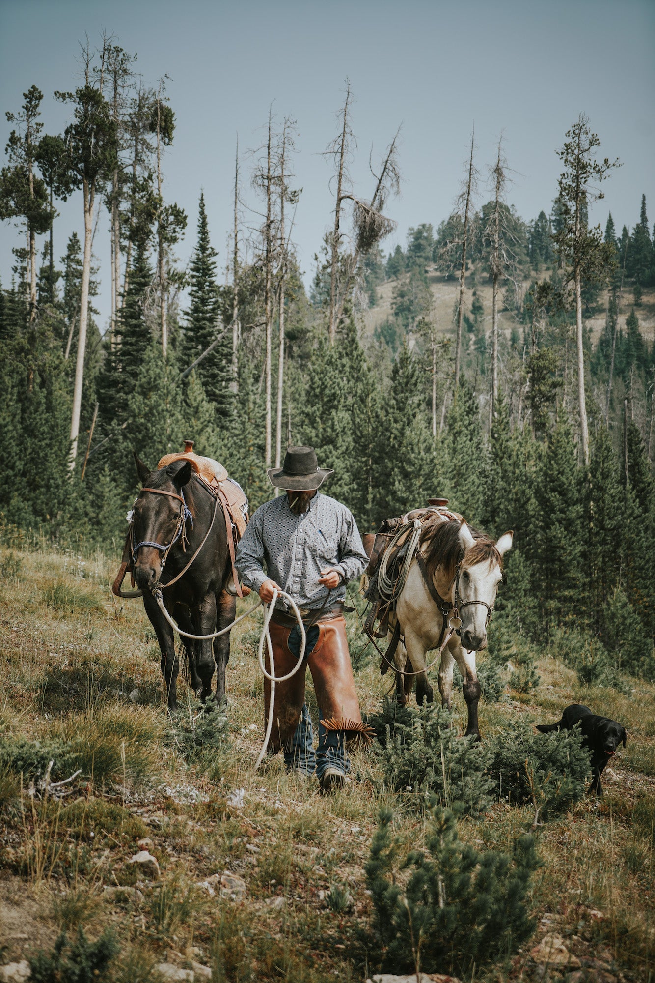 Alpha-Universe-photo-by--Justine-Jane-HR-horseback-102.jpg