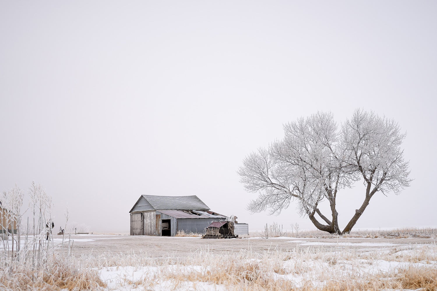 Best Prime Lenses For Landscape Photography Sony Alpha Universe