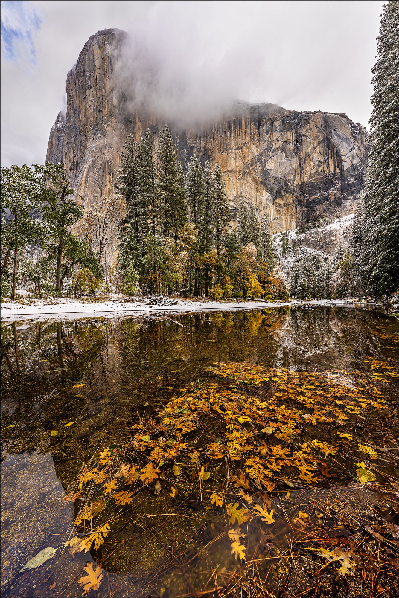 El Cap - Photo by Gary Hart Snowfall in Yosemite with Sony 12-24mm f2.8 G Master Lens and A7R IV - Alpha Universe