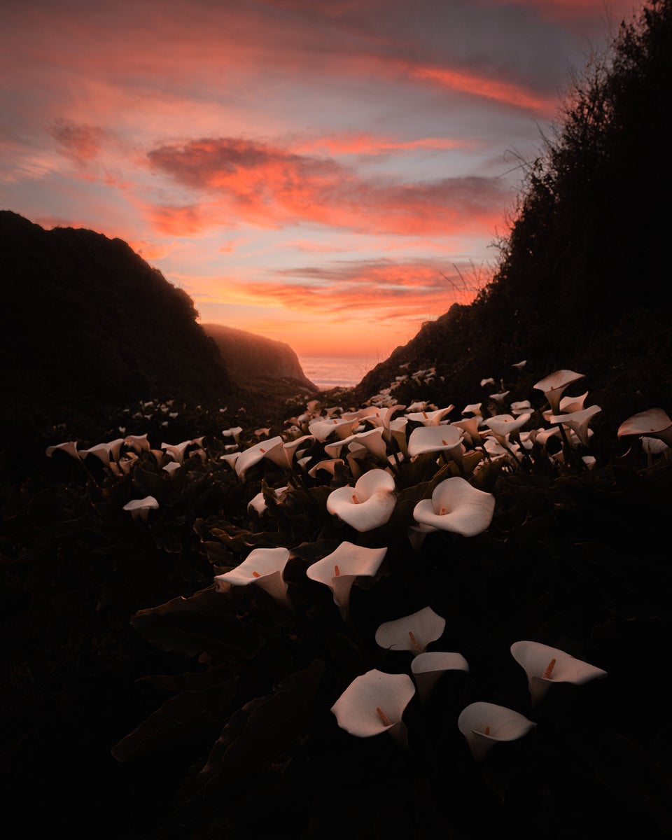 https://alphauniverseglobal.media.zestyio.com/Alpha-Universe-photo-by-Jude-Allen-Sony-16-35mm-F28-GM-4.jpg?height=1200&fit=bounds