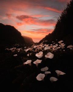 https://alphauniverseglobal.media.zestyio.com/Alpha-Universe-photo-by-Jude-Allen-Sony-16-35mm-F28-GM-4.jpg?height=300&fit=bounds