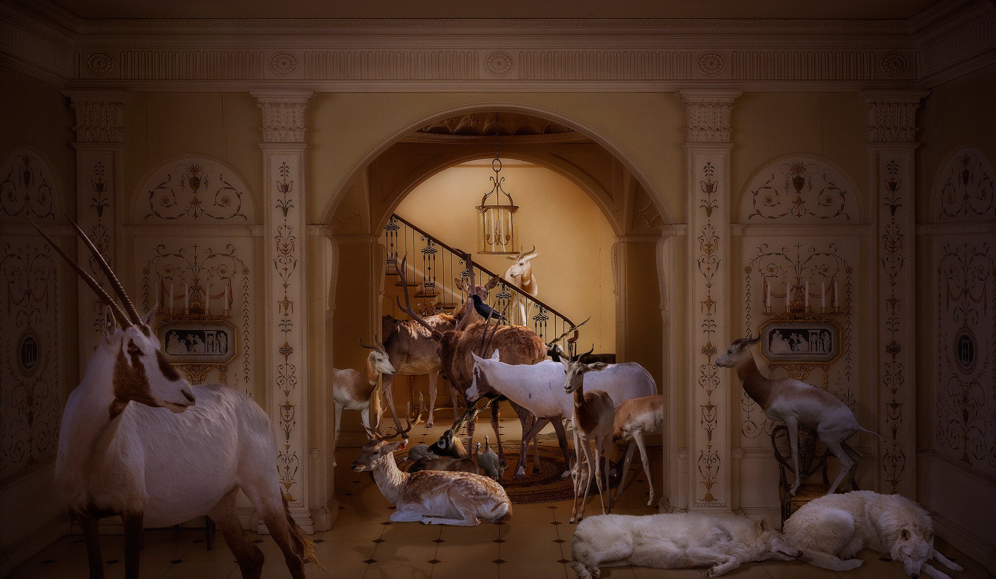 Alpha-Universe-photo-by-Lisa-Frank--Hooved-Animals_-English-Entrance-Hall-of-the-Georgian-Period.BJ9O7p1hv.jpg