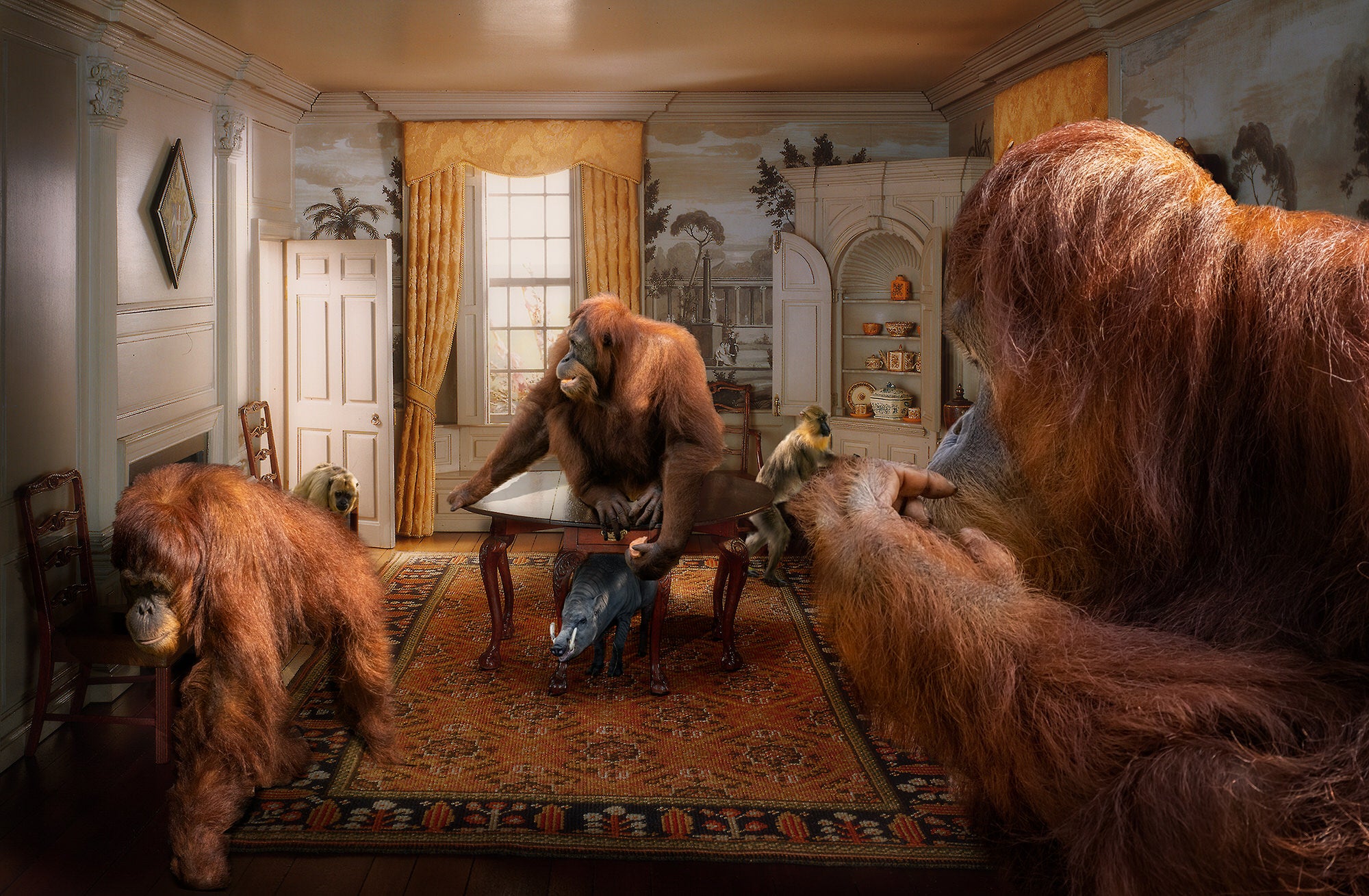 Alpha-Universe-photo-by-Lisa-Frank--Orangutan_-New-Hampshire-Dining-Room-1760.SkebFmTJhw.jpg