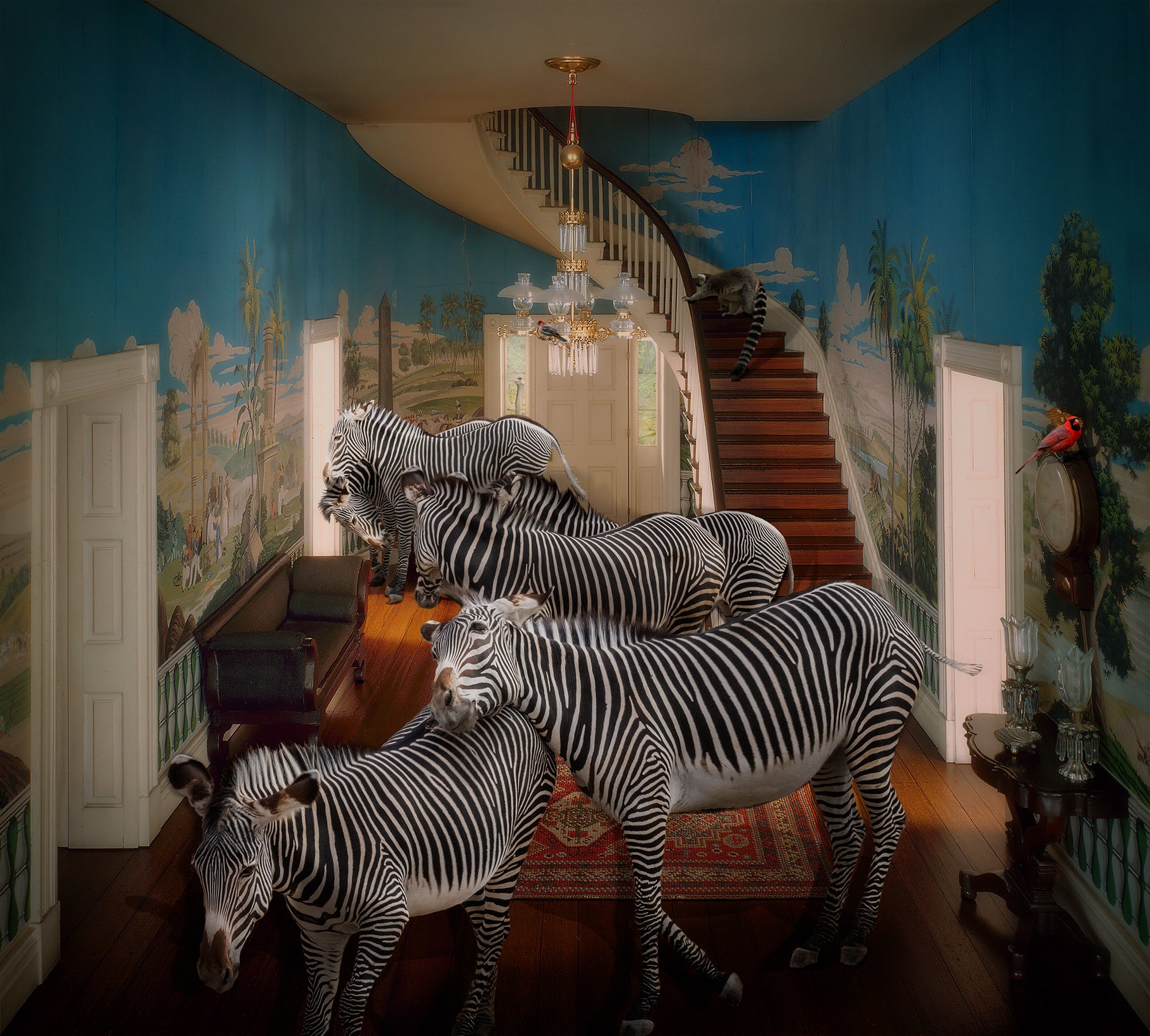 Alpha-Universe-photo-by-Lisa-Frank--Zebras_Tennessee-Entrance-Hall-1835.ByfwYQpyhw.jpg