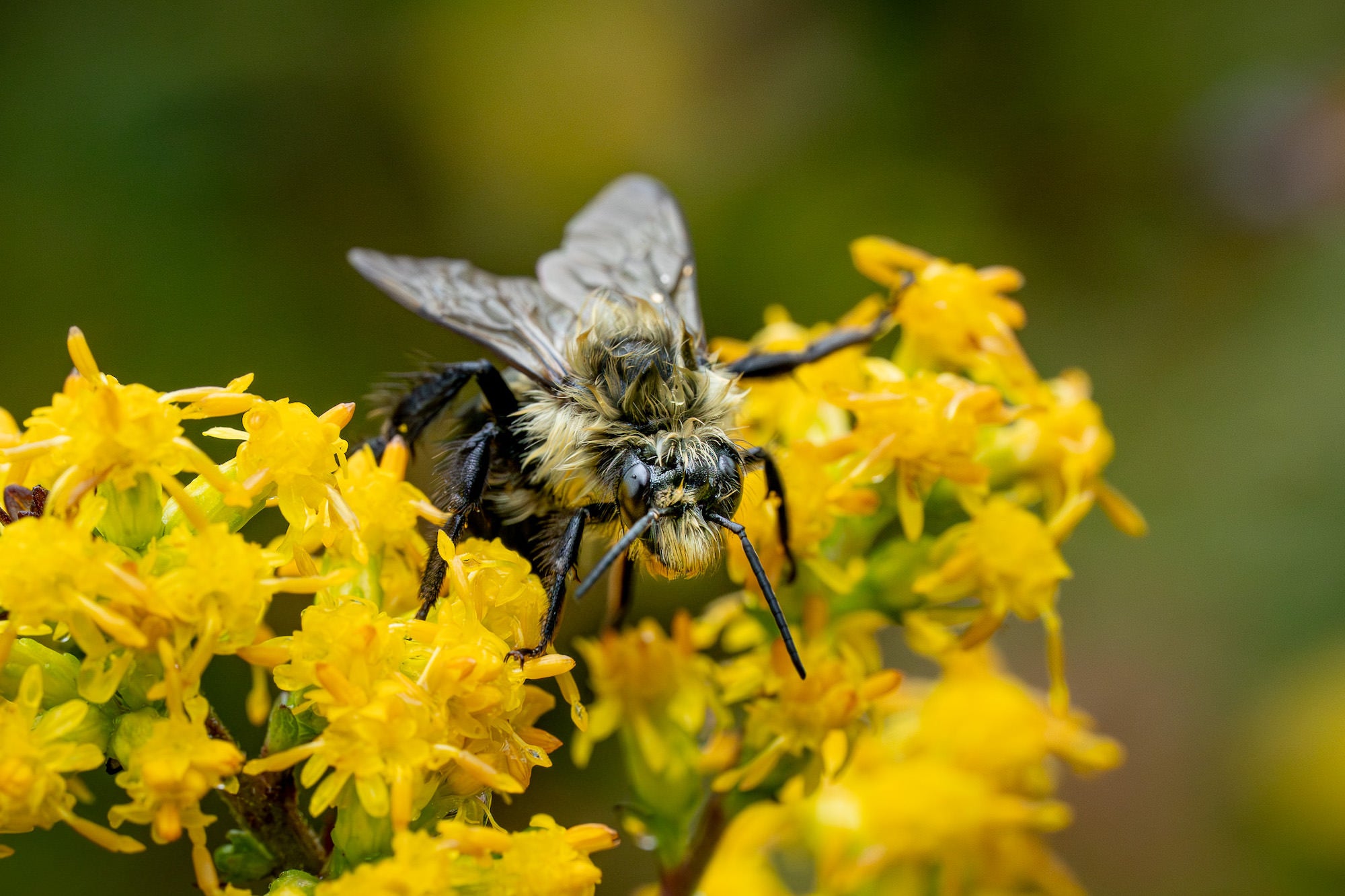 Photo by Hannah Alexander. Alpha 7R V. 100mm f/2.8 Macro G Master. 1/160-sec., f/9, ISO 2500