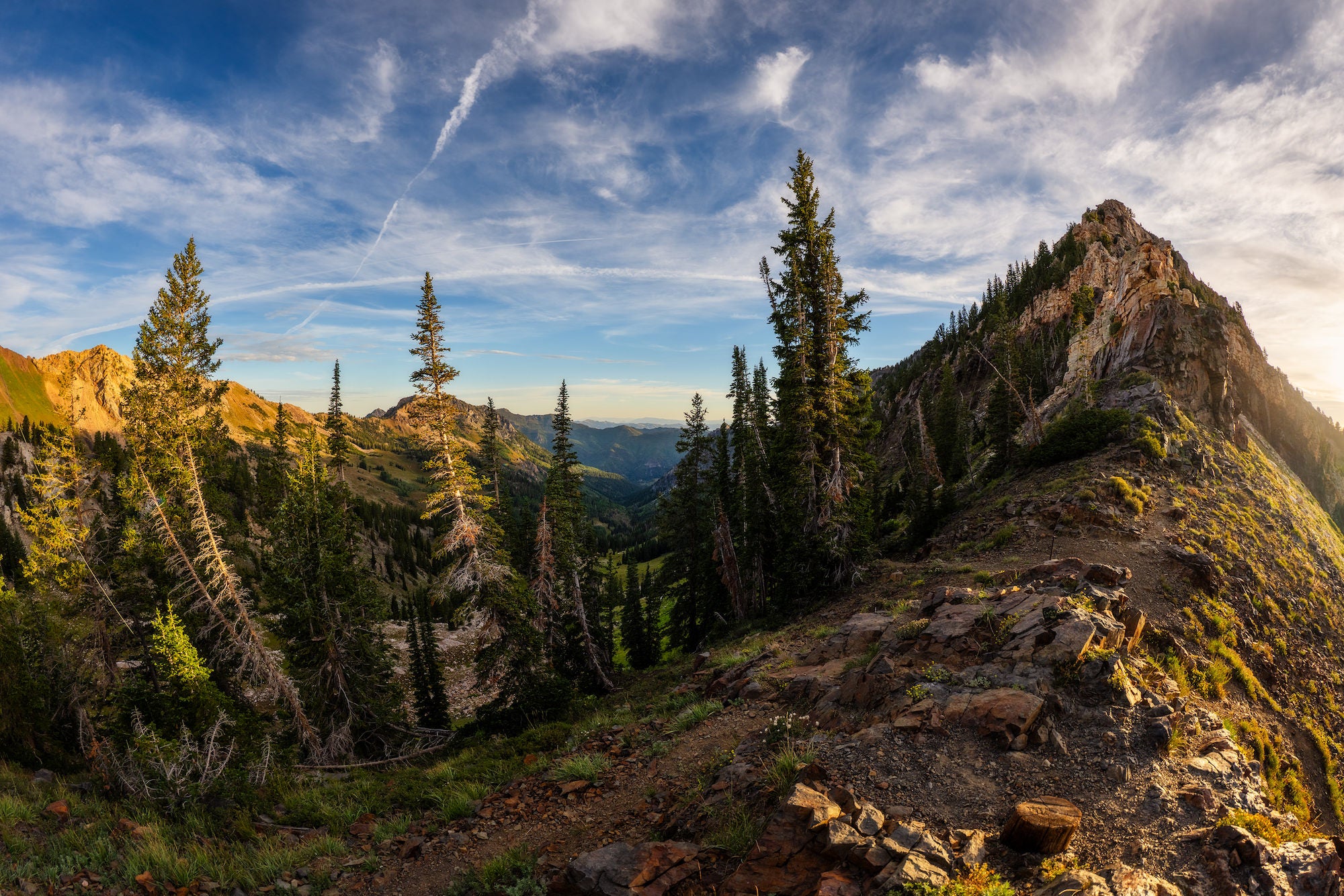 A rugged mountain ridge and evergreen valley glow in warm evening light, photographed by Autumn Schrock.